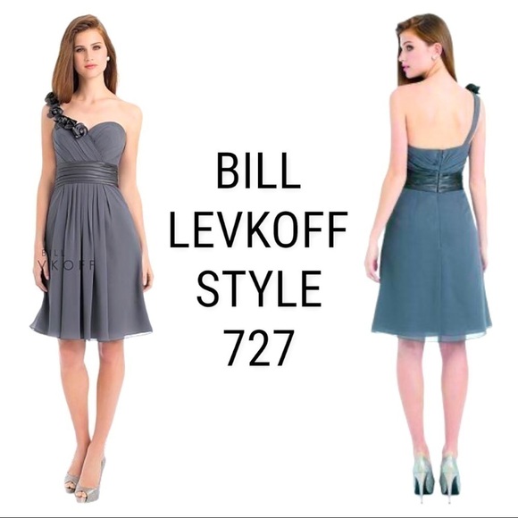 NWT BILL LEVKOFF Style #727 Pewter Gray Chiffon One-Shoulder Formal Dress Size 8 - Picture 1 of 11